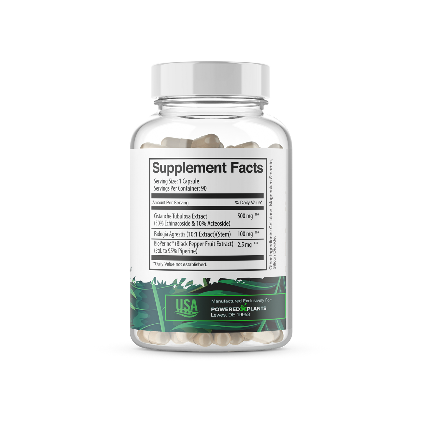 Cistanche Tubulosa with Fagodia Agrestis