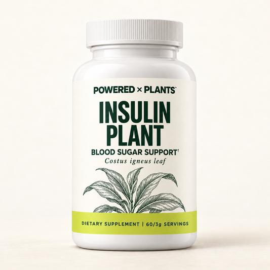 Insulin PLANT