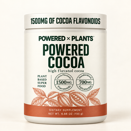 Powered Cocoa — High Flavanol Cocoa, 1,500 mg Flavanols