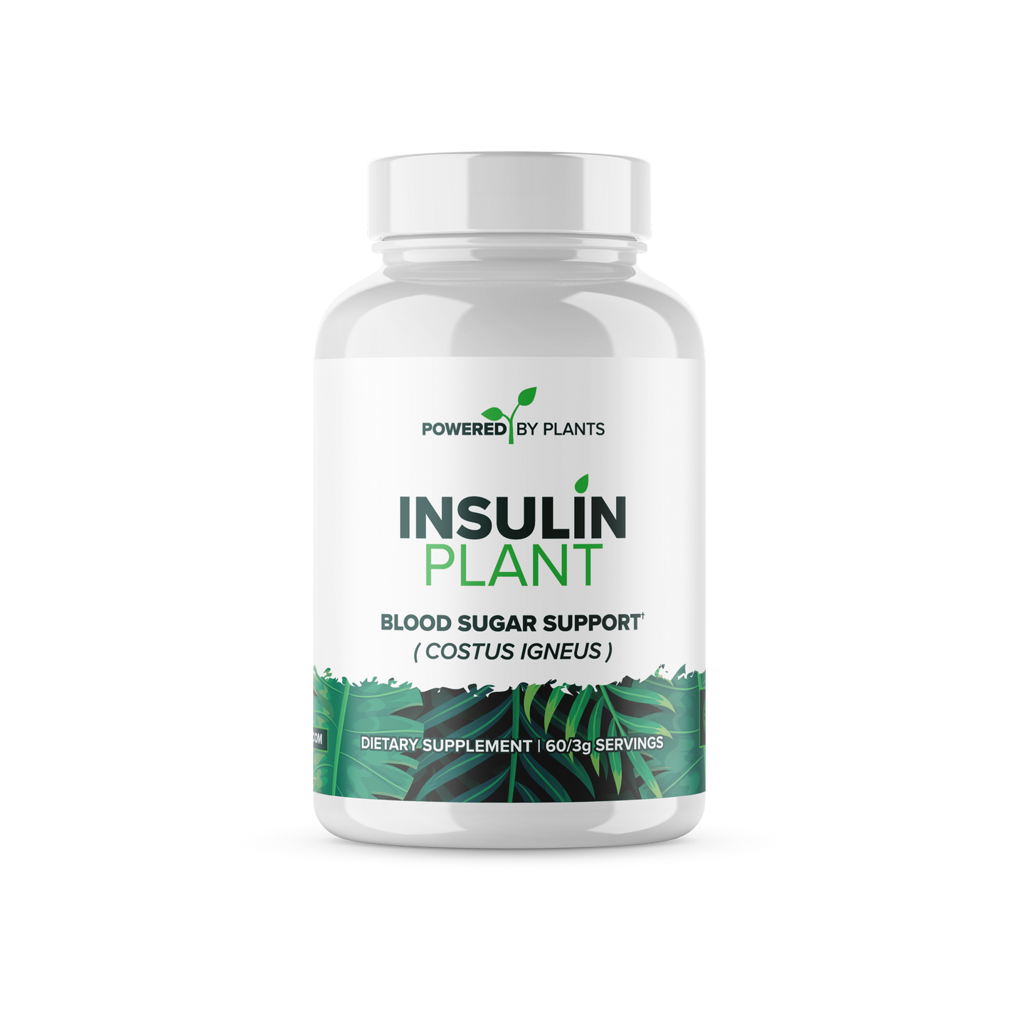 Insulin PLANT